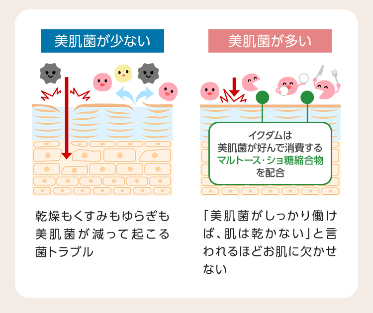 美肌菌イラスト