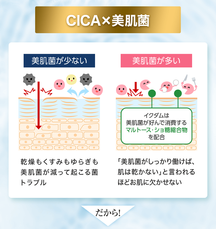 CICA X 美肌菌