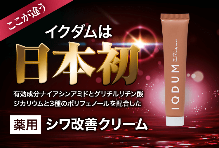 イクダムは日本初