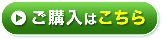 ご購入はこちら