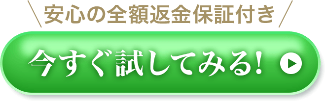今すぐ試してみる！