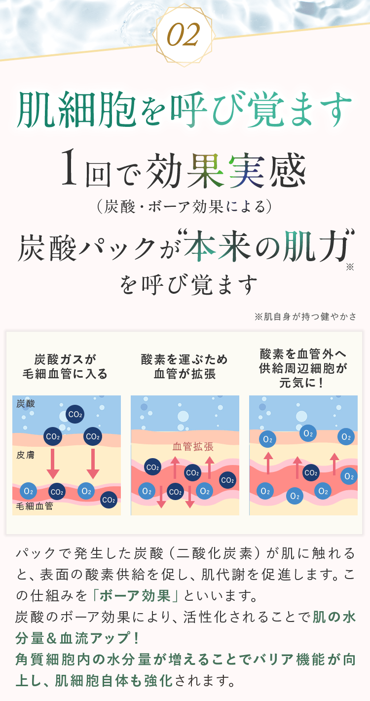 02.肌細胞を呼び覚ます