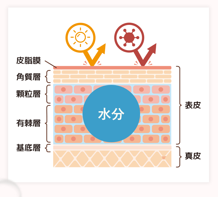 バリア機能